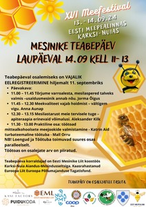 XVI Meefestivali Mesinike teabepäev